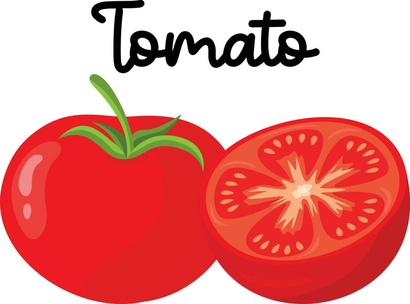 rojo Fresco Tomates con el palabra tomate vector