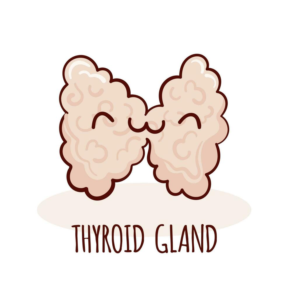 Thyroid gland character, cartoon mascot with funny face. Thyroid gland  human anatomy training card vector