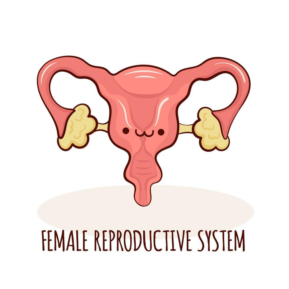 Female reproductive system character, cartoon mascot with funny face. Human anatomy training card vector