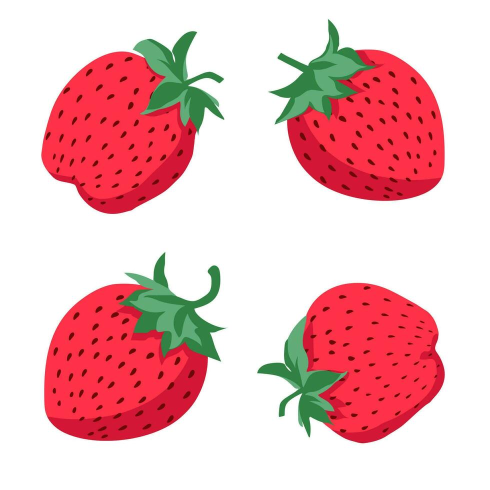 Set strawberry on a white background. vector