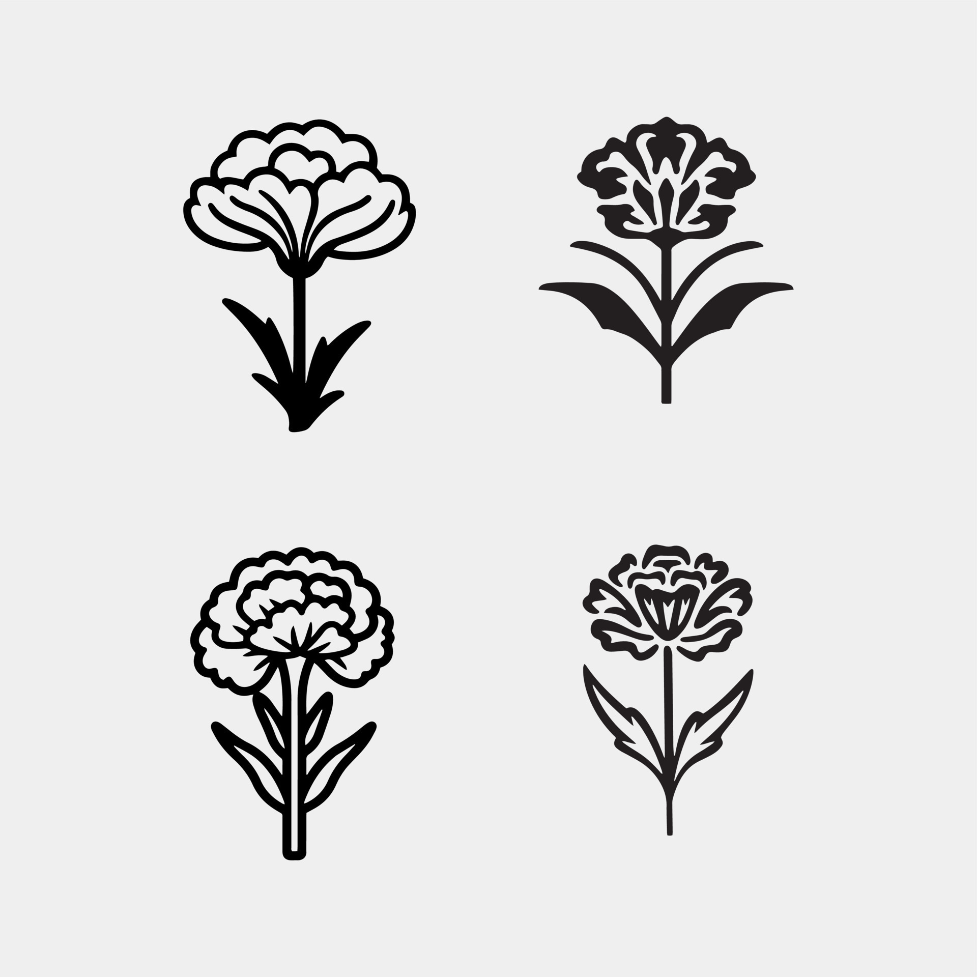 Vector set of Carnation flower by hand drawing on white backgrounds