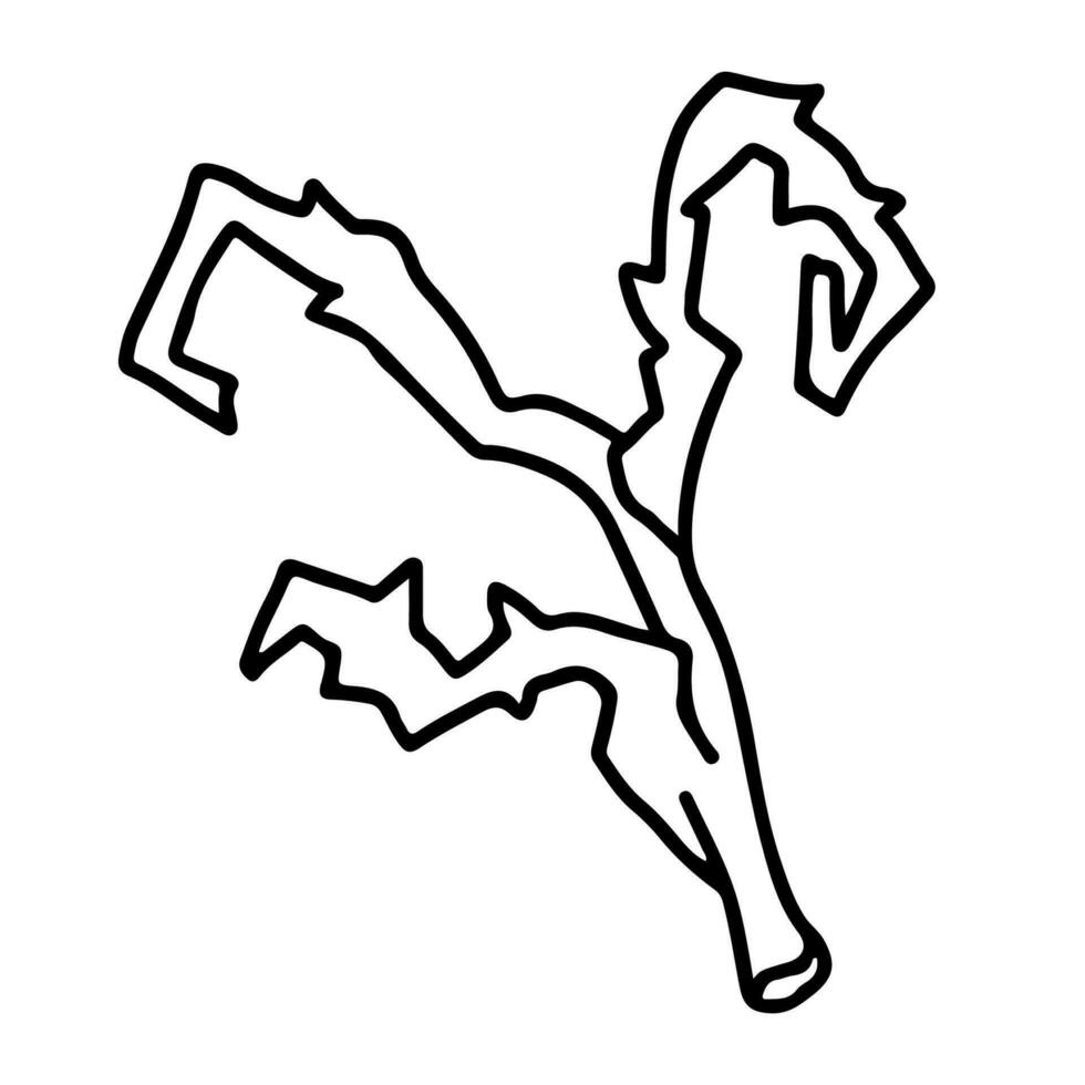 Outline illustration of dried branch in doodle style vector