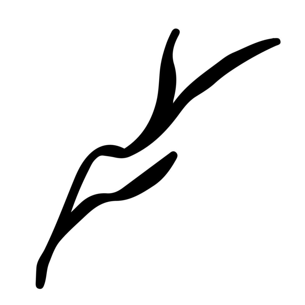 Hand drawn line art of dried wood branch in doodle style vector