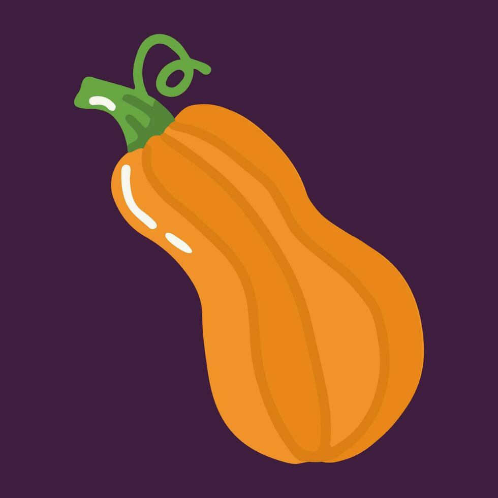 Vector isolated pumpkin illustration in flat design