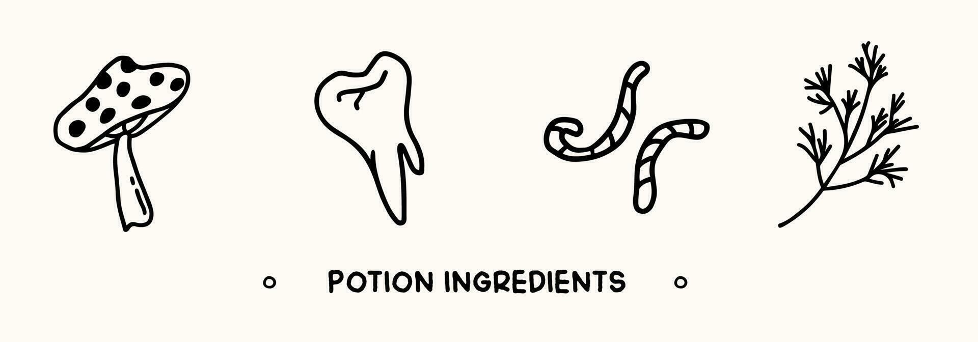 Collection of hand drawn potion ingredients. Witchcraft and helloween elements in doodle style vector