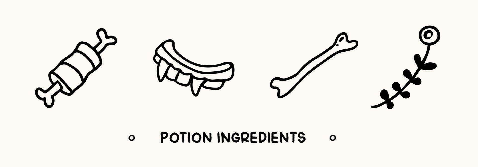 Collection of hand drawn potion ingredients. Witchcraft and helloween elements in doodle style vector