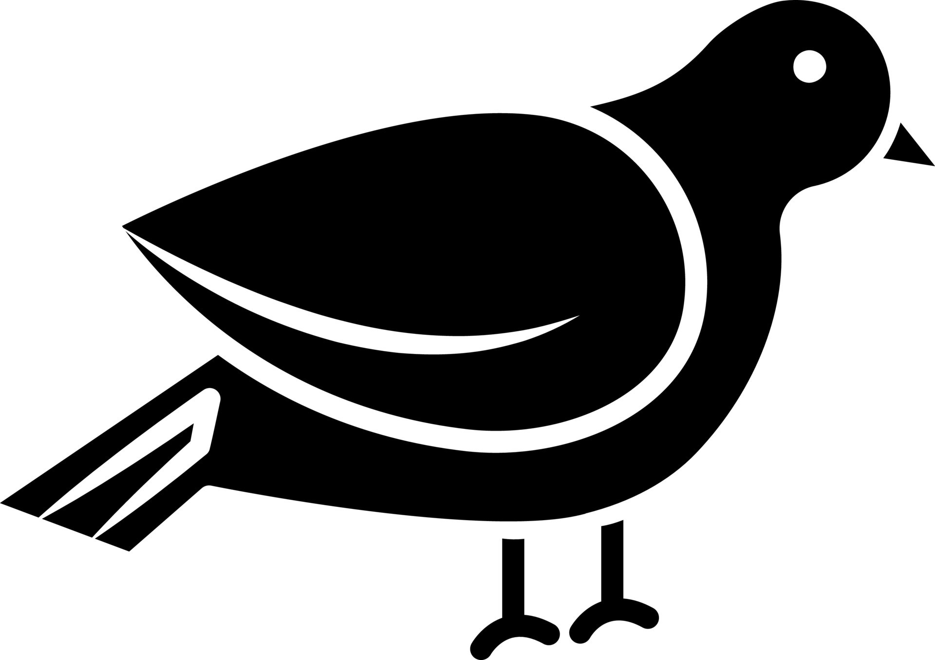 Bird icon or symbol in Black and White color. 24277605 Vector Art at