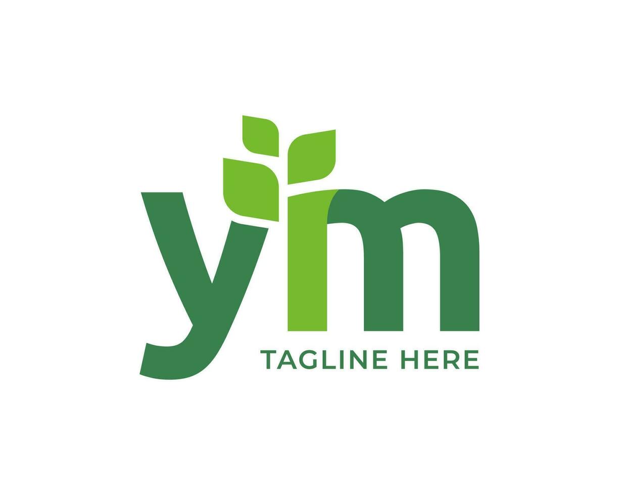 Letter YM leaf nature logo vector