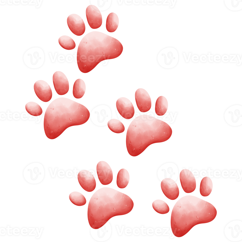 Cat footprints watercolor element png