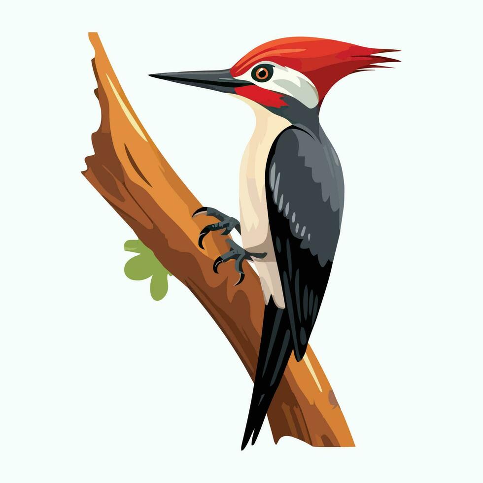 Woodpecker on Tree Branch. Flat Vector Illustration of a Colorful Woodpecker Perched on a Branch