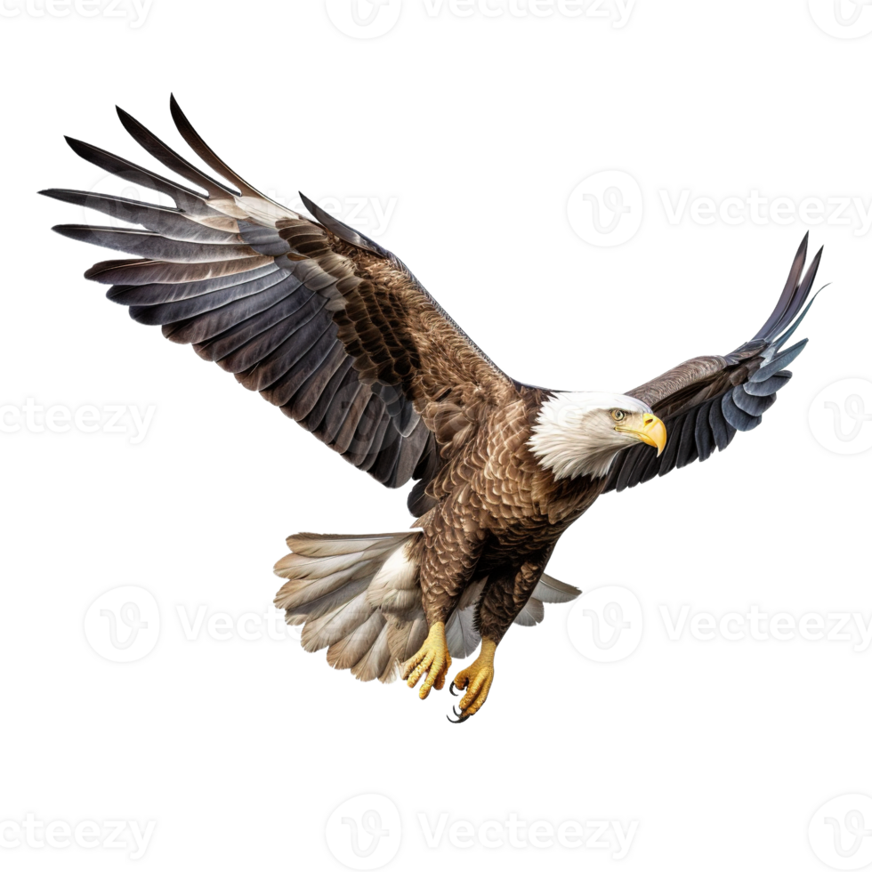 Eagle isolated on transparent background png