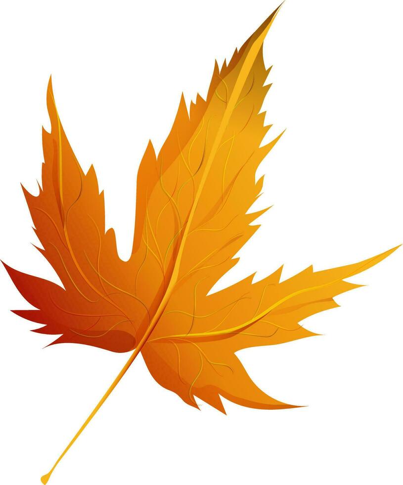 Realistic brown maple leaf. vector