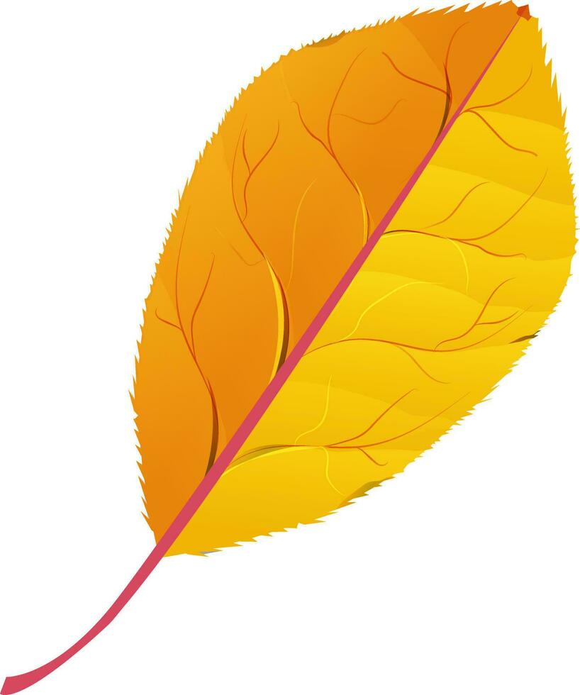 Illustration of golden leaf. vector