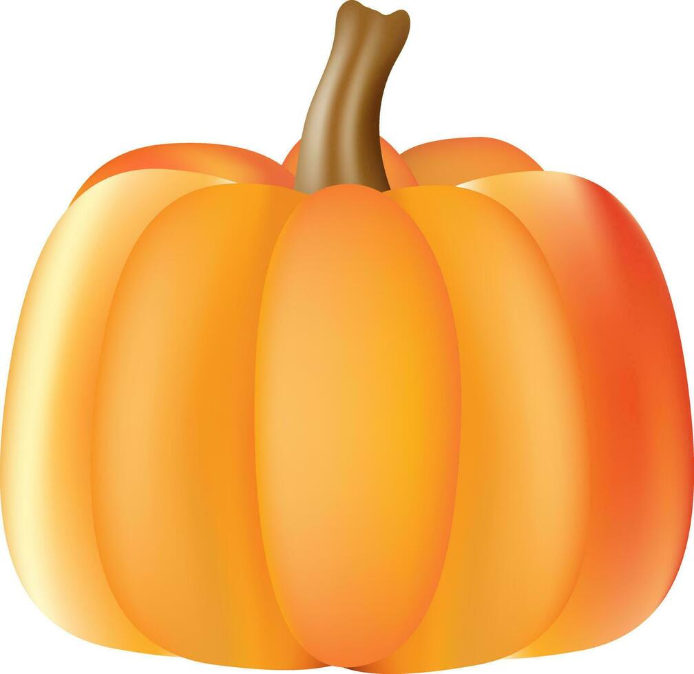 3D illustration of pumpkin on white background. vector