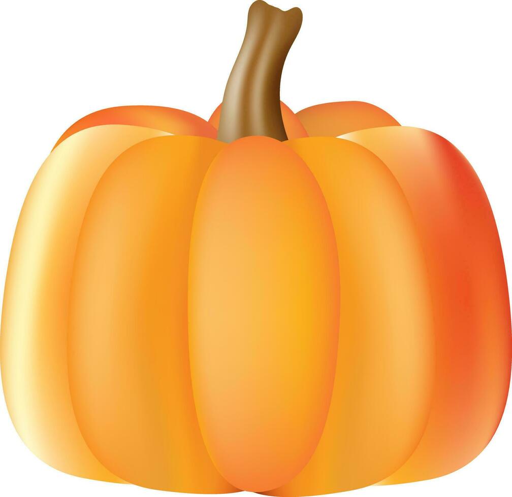 3d ilustración de calabaza en blanco antecedentes. vector