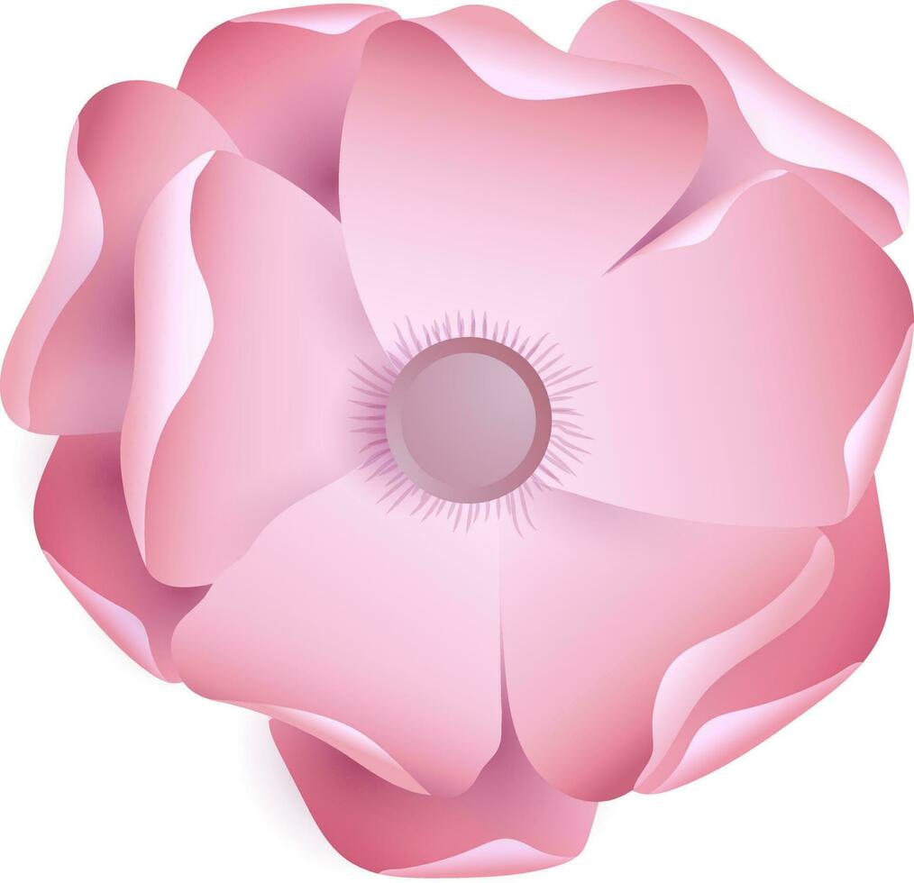 Beautiful pink flower on white background. vector