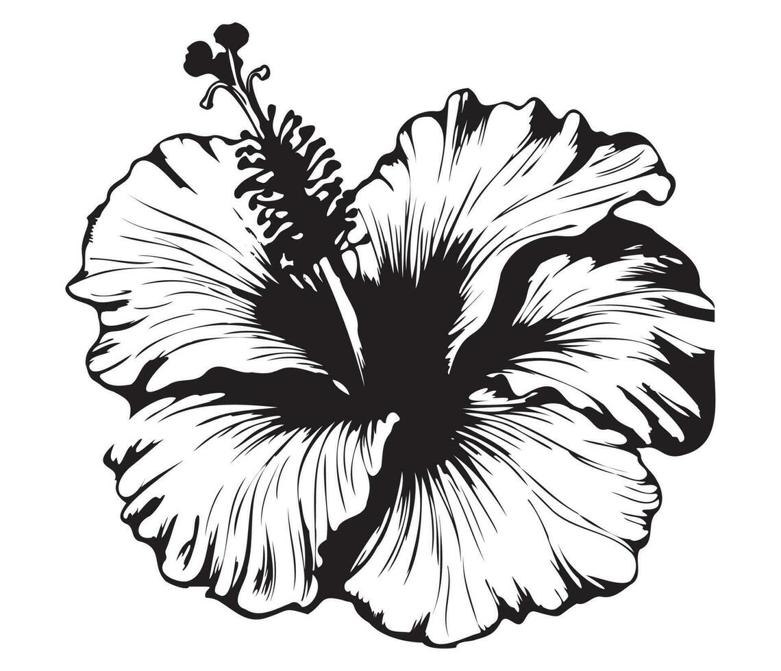 hibisco ilustrado en contorno estilo. flor mano dibujado ilustración colección para floral diseño. un elemento decoración para Boda invitación, saludo tarjeta, tatuaje, vector