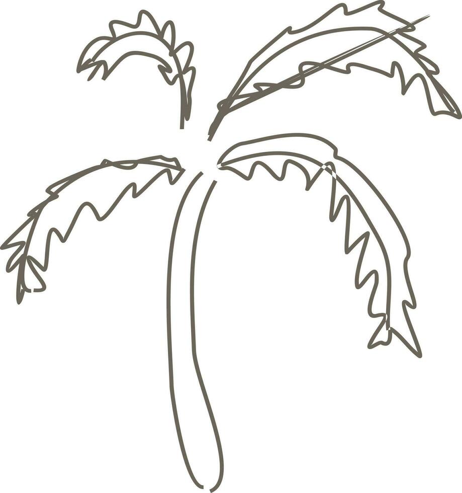 Line art illustration of a coconut tree. vector