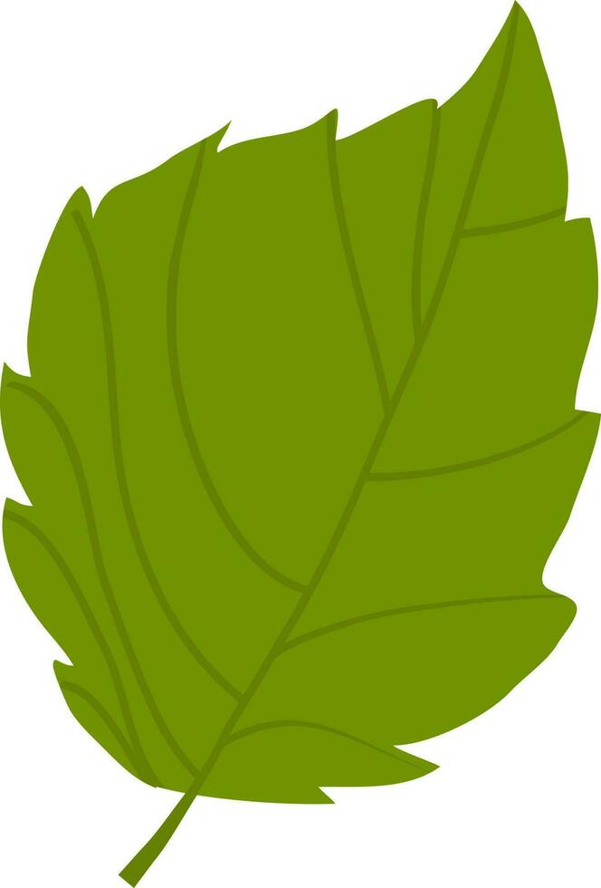 Vector sign or symbol of Leaf.