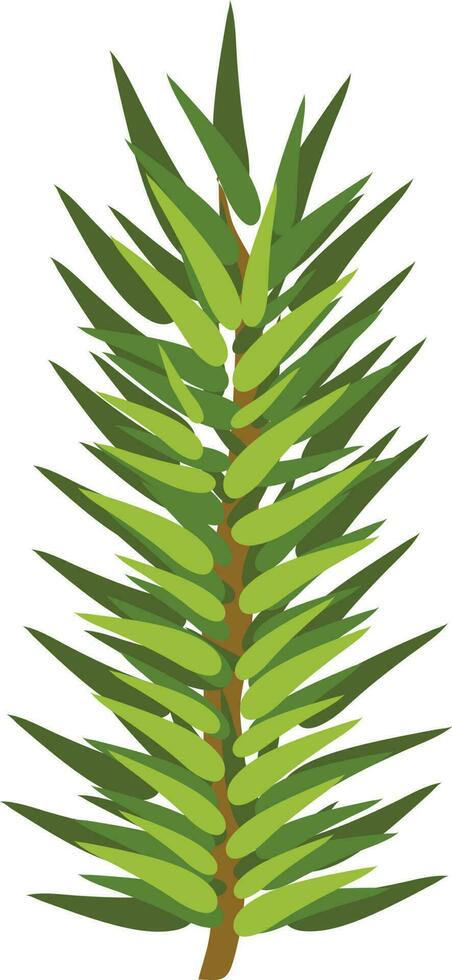 Isolated fir tree branch in green color. vector