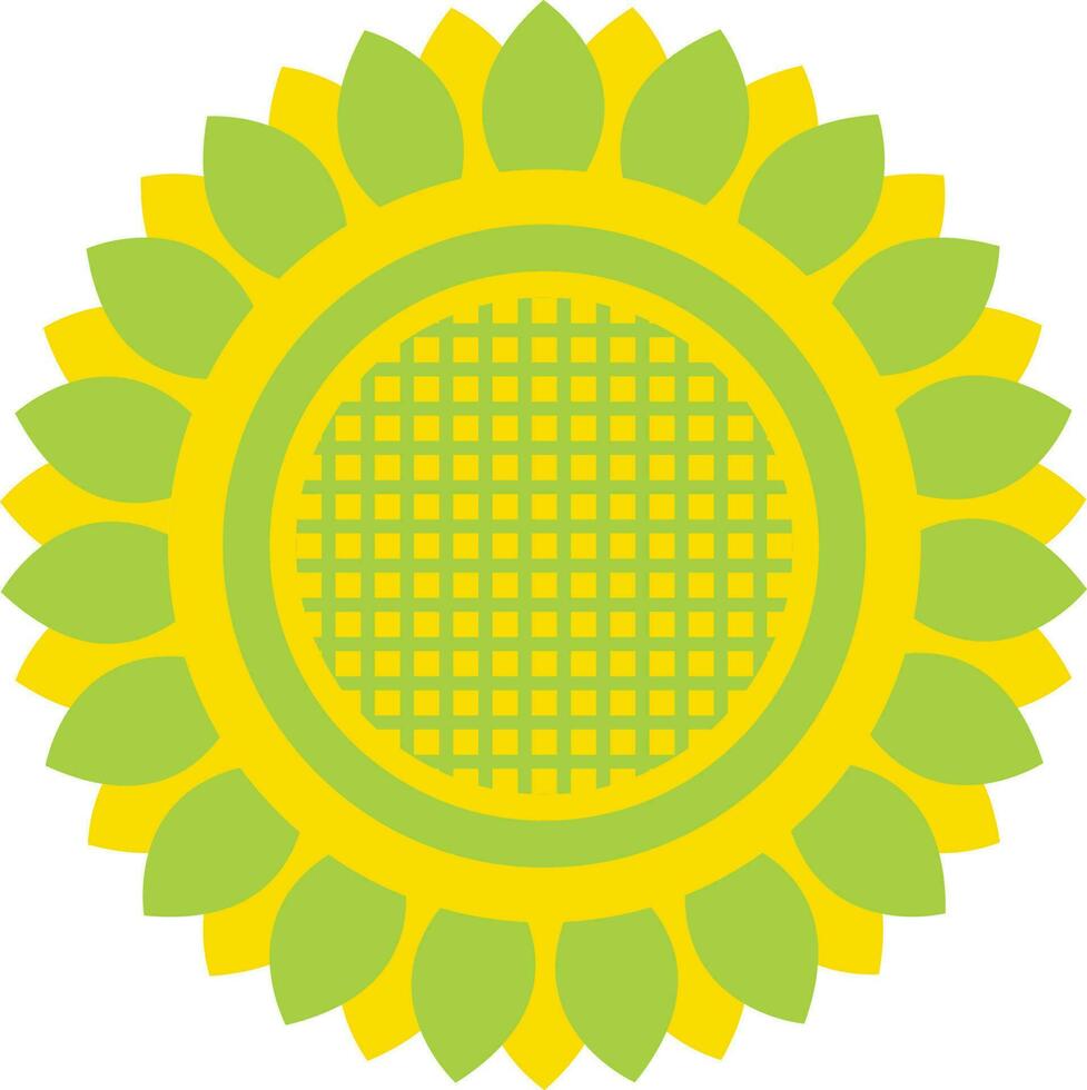 Green and yellow color of sunflower icon in illustration. vector