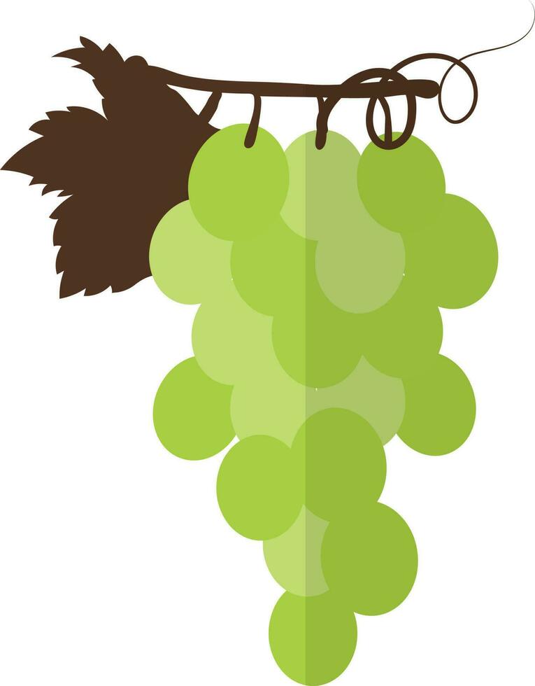 Illustration of grapes icon for agriculture in half shadow. vector