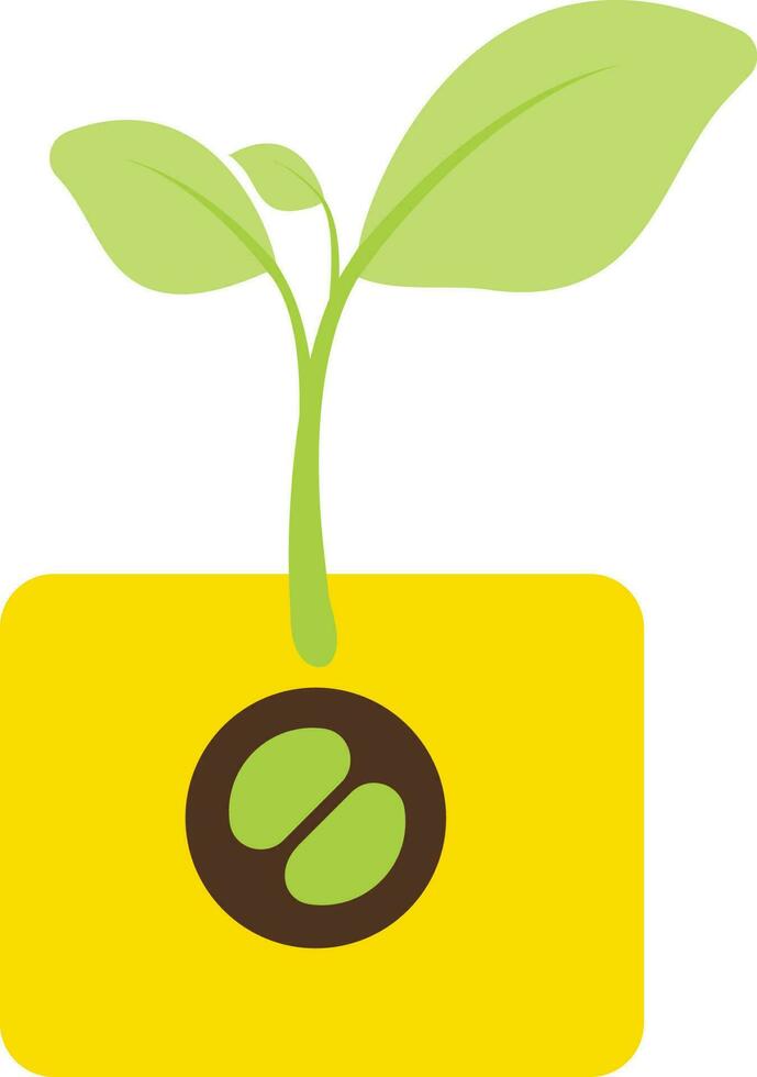 Growing of a plant on yellow pot icon. vector