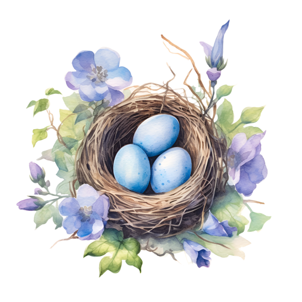 Bird Nest Eggs Flowers Watercolor Clipart 24284409 PNG