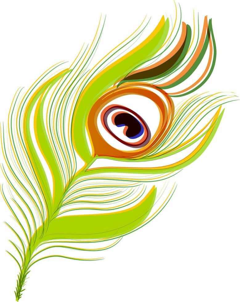 Green and yellow peacock feather design. vector