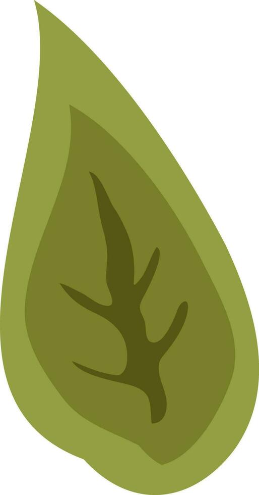 Illustration of a green leaf. vector
