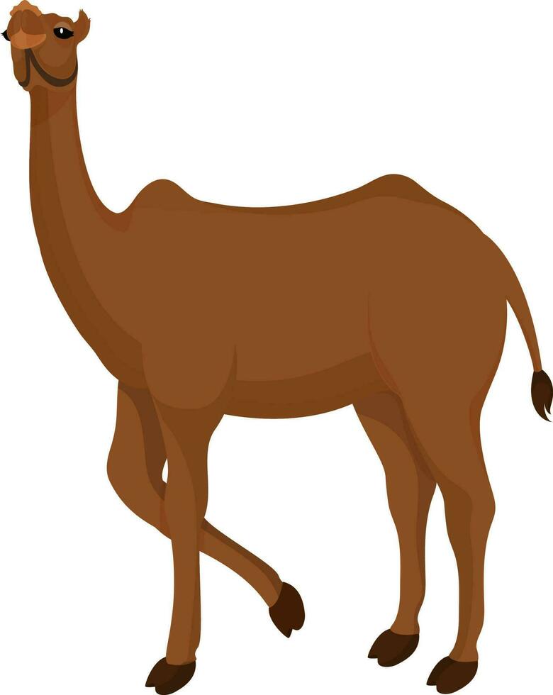 Cartoon of camel on white background for Islamic Festival concept. vector