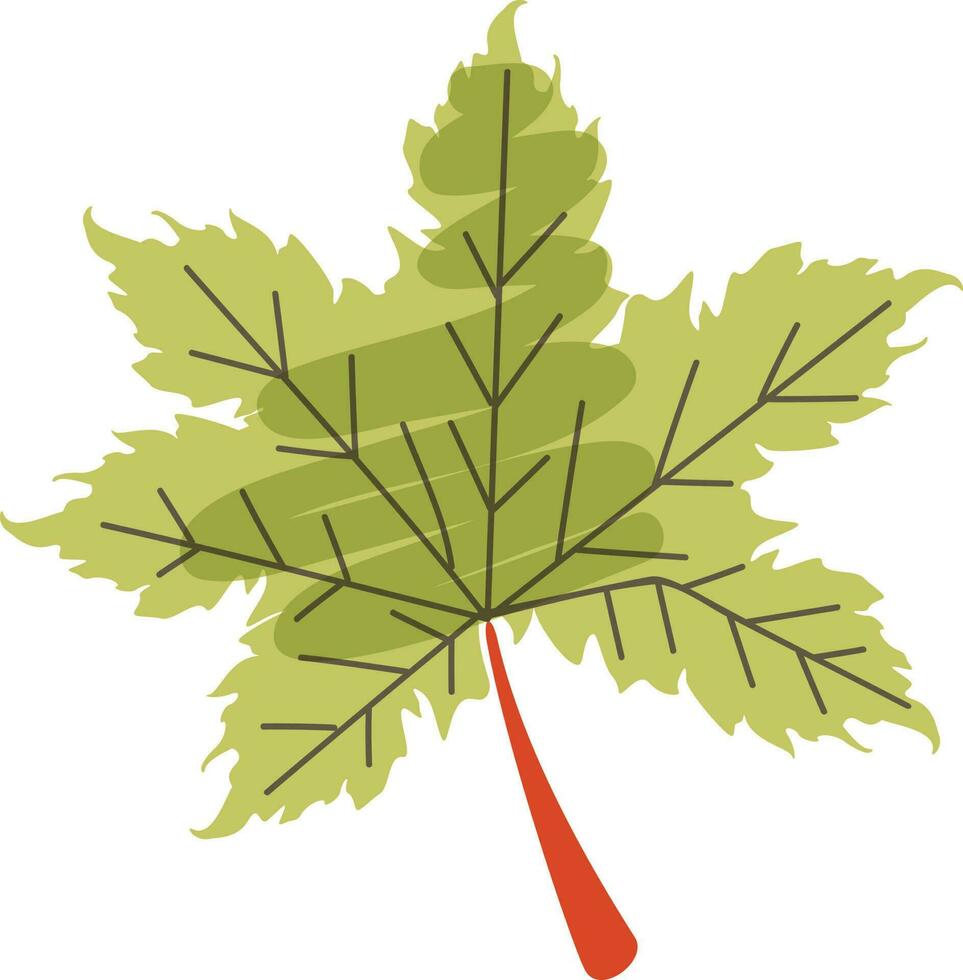 plano ilustración de un arce hoja. vector