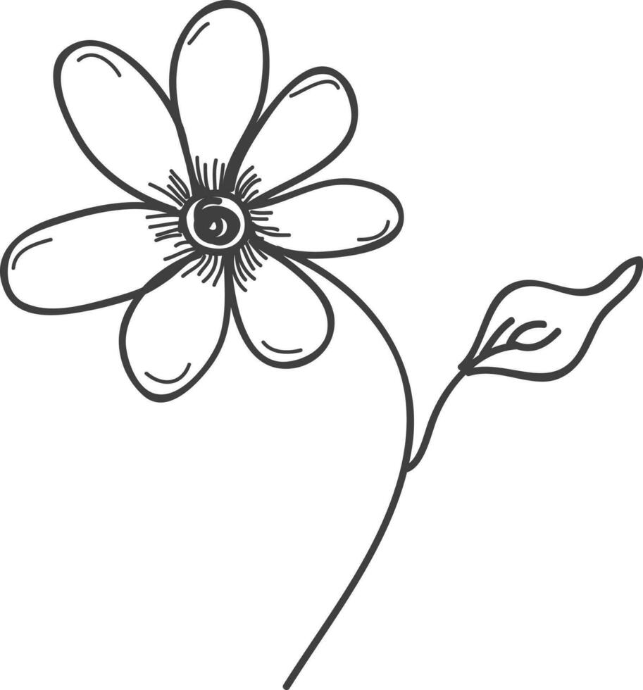 Line art illustration of flower. vector