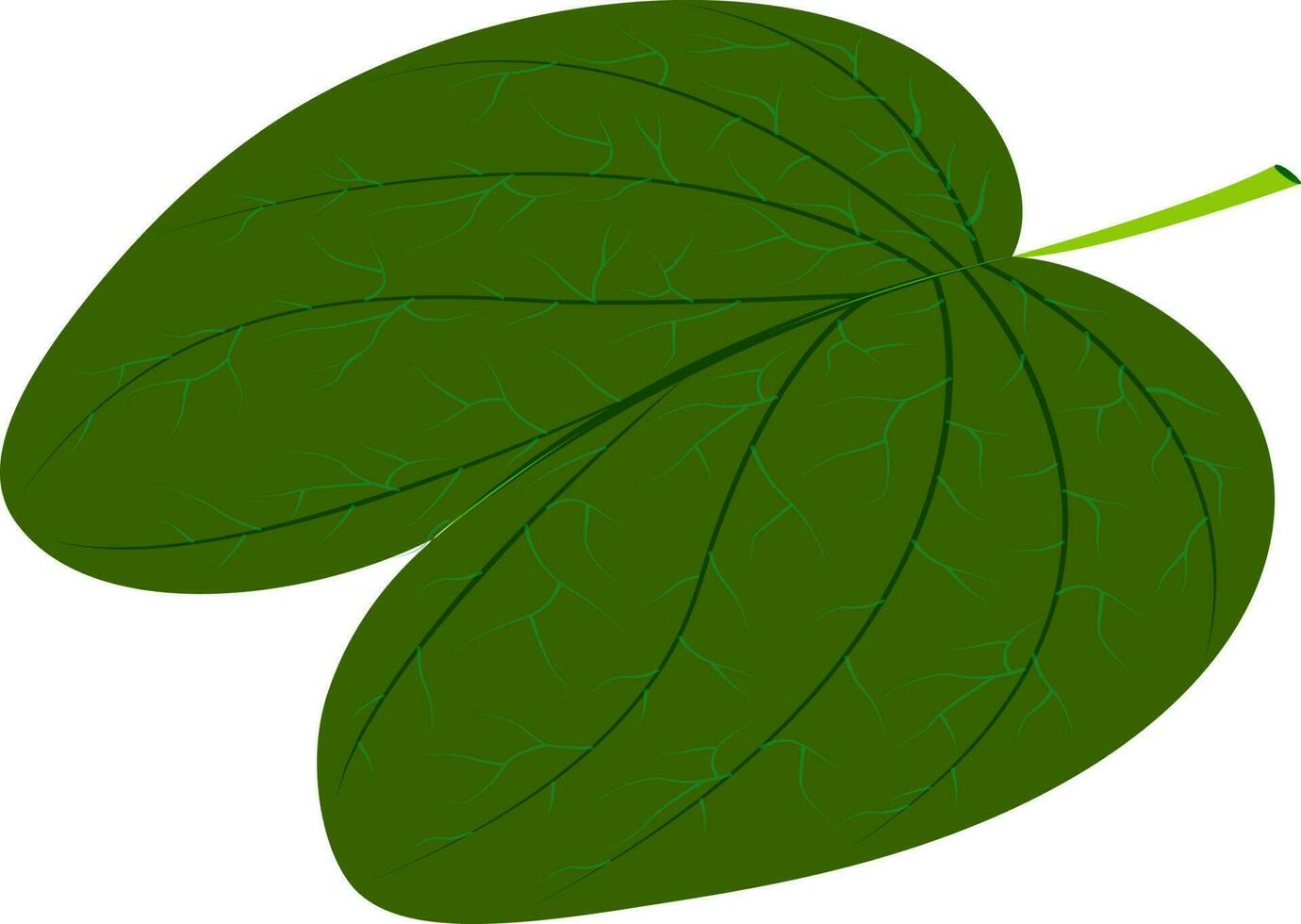 Flat illustration of green leaf. vector
