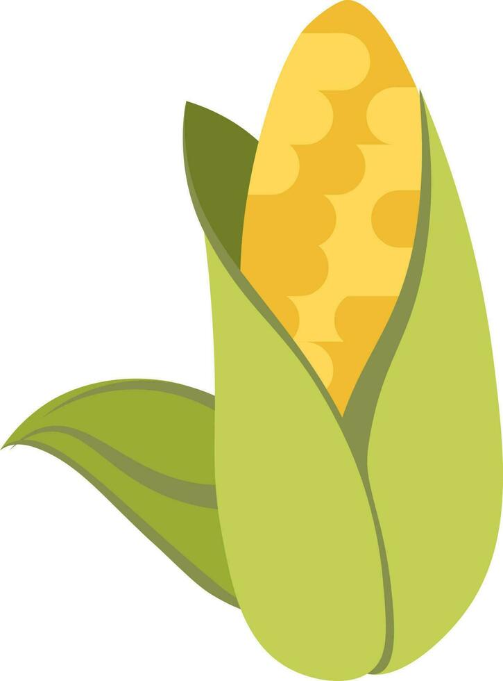 Flat style corn icon in green and yellow color. vector