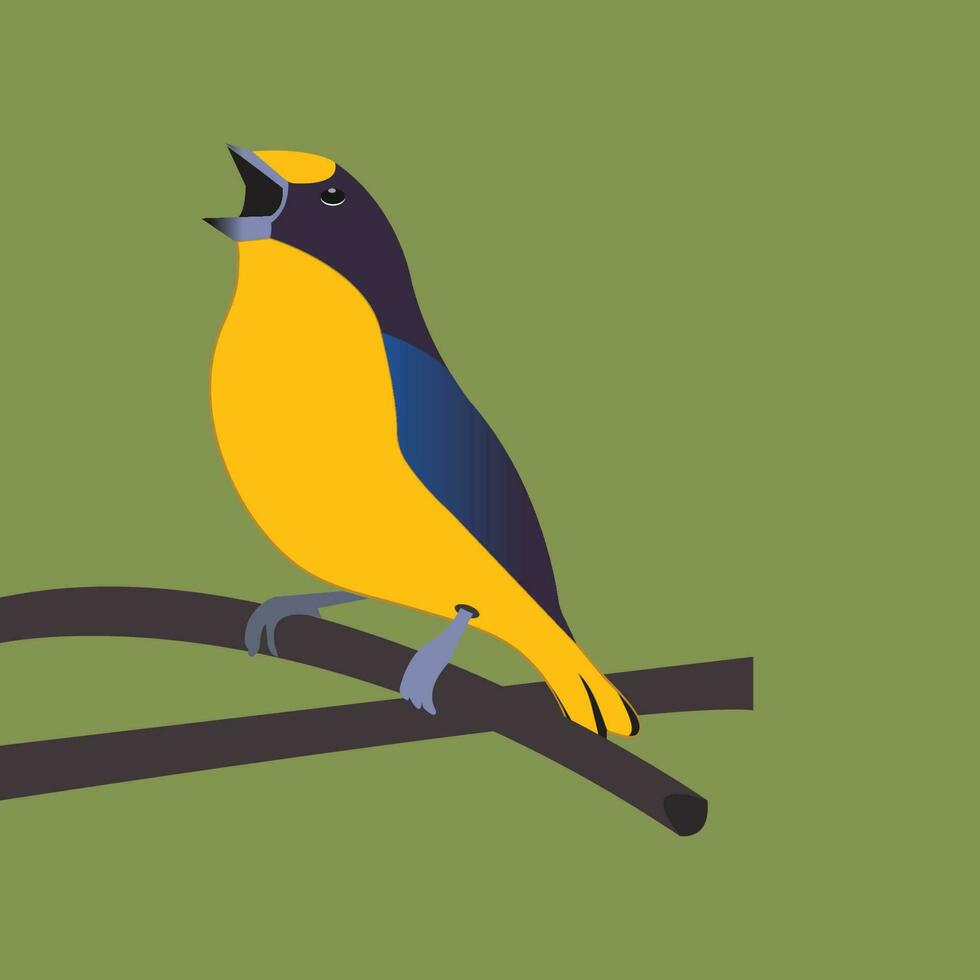 yellow winged mountain tanager bird vector