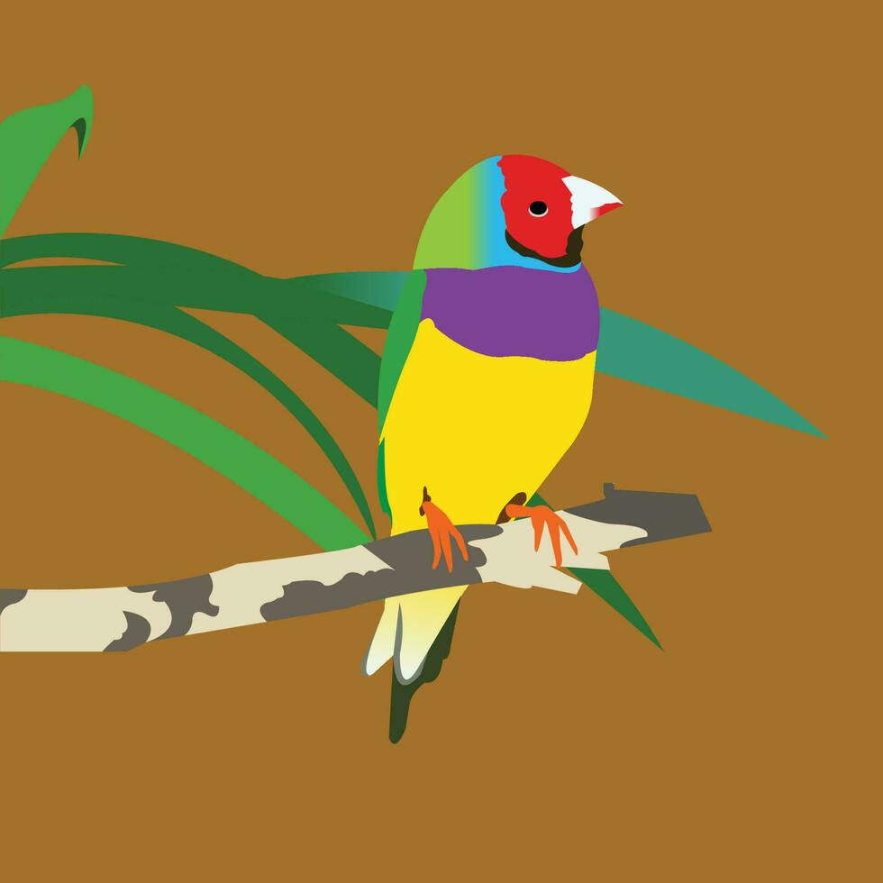 A colorful parrot vector
