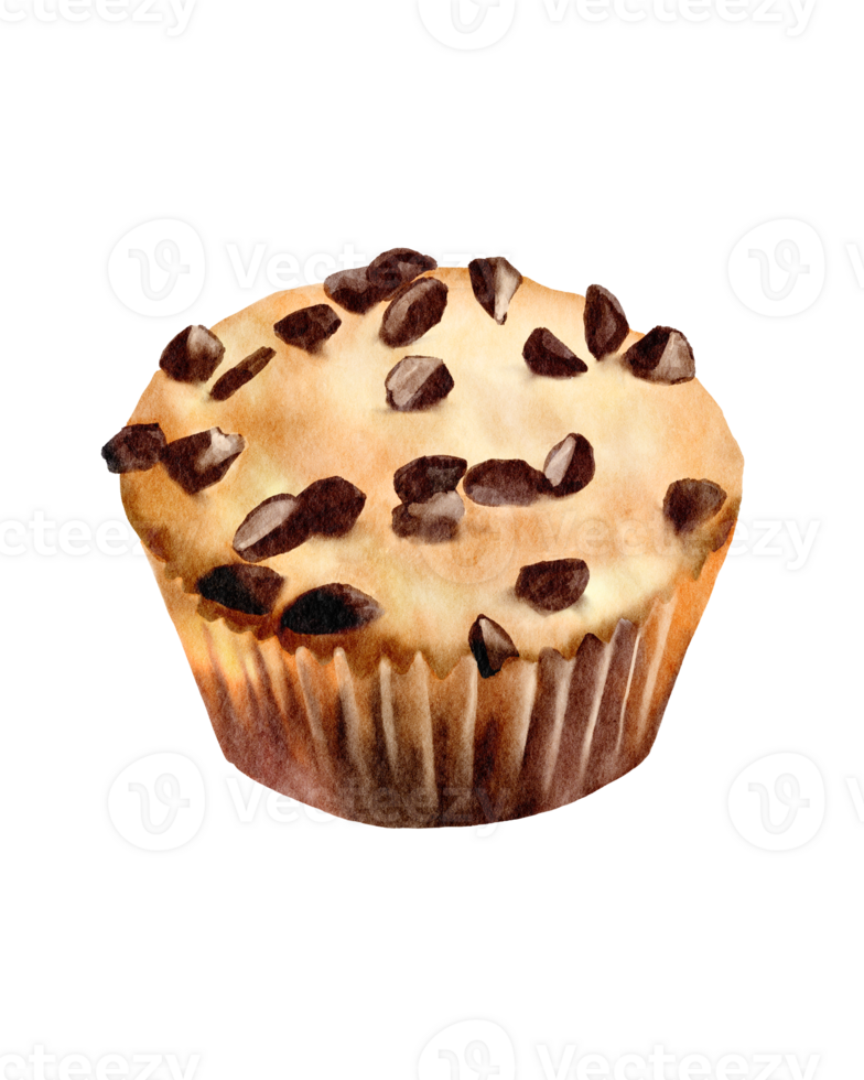 vattenfärg efterrätt choklad muffins png