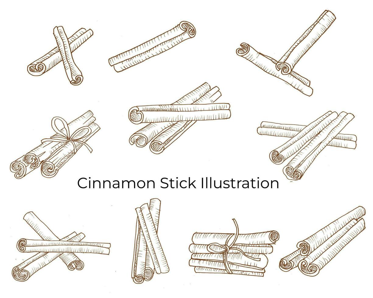 Cinnamon Stick Line Art for Food Label vector