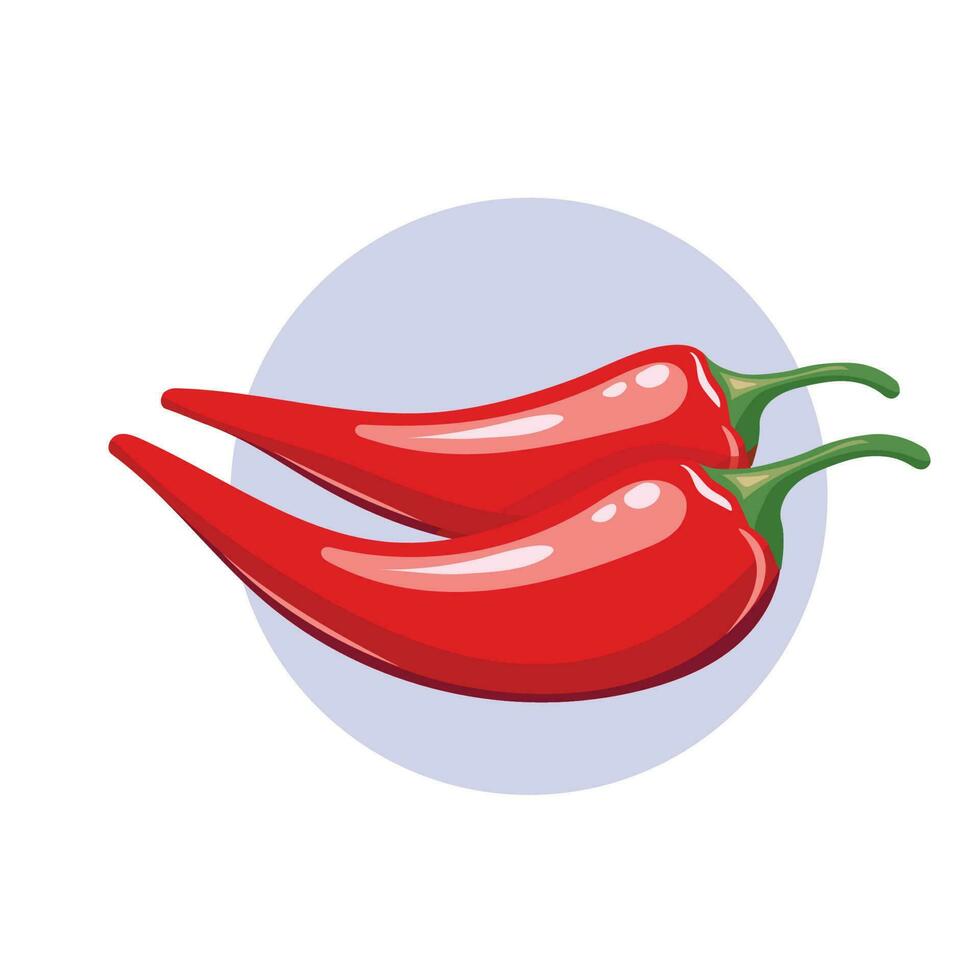 Pair red chile pepper vector illustration