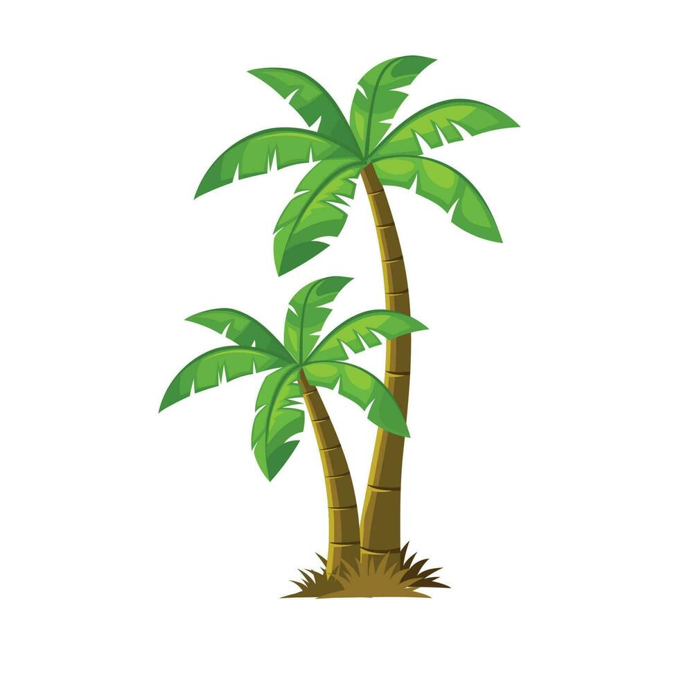 Beautiful coconut palm tree cartoon style, vector