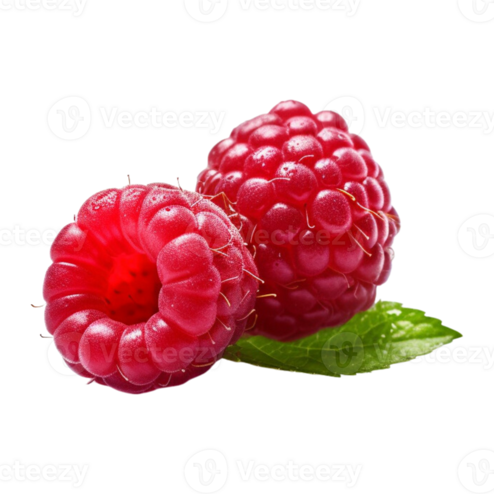 Fresh ripe raspberries with leaves isolated on transparent background. png