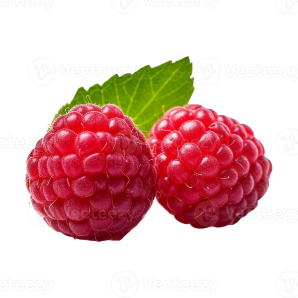 Fresh ripe raspberries with leaves isolated on transparent background. png