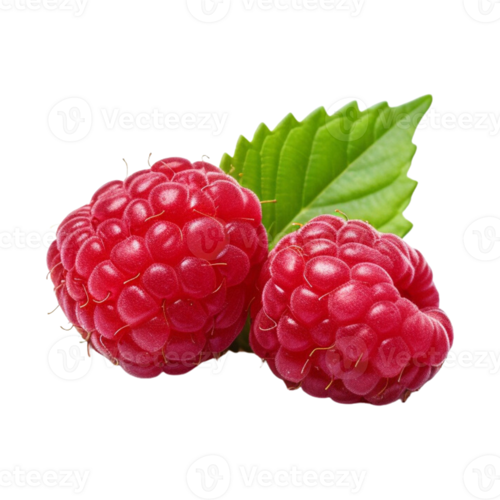 Fresh ripe raspberries with leaves isolated on transparent background. png