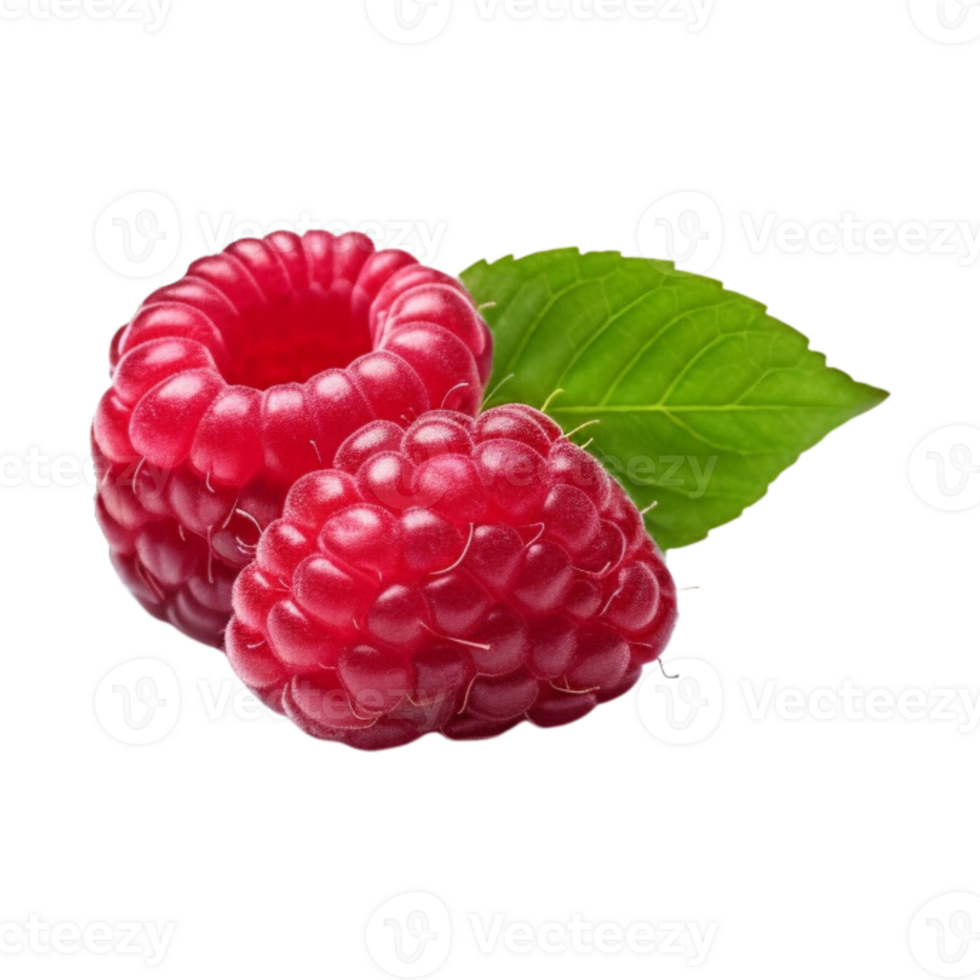 Fresh ripe raspberries with leaves isolated on transparent background. png