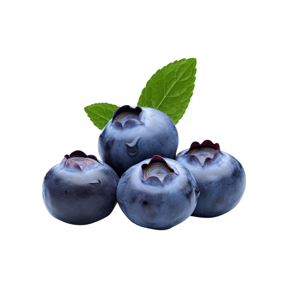 Fresh ripe blueberries isolated on transparent background png