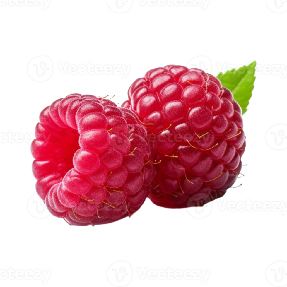 Fresh ripe raspberries with leaves isolated on transparent background. png