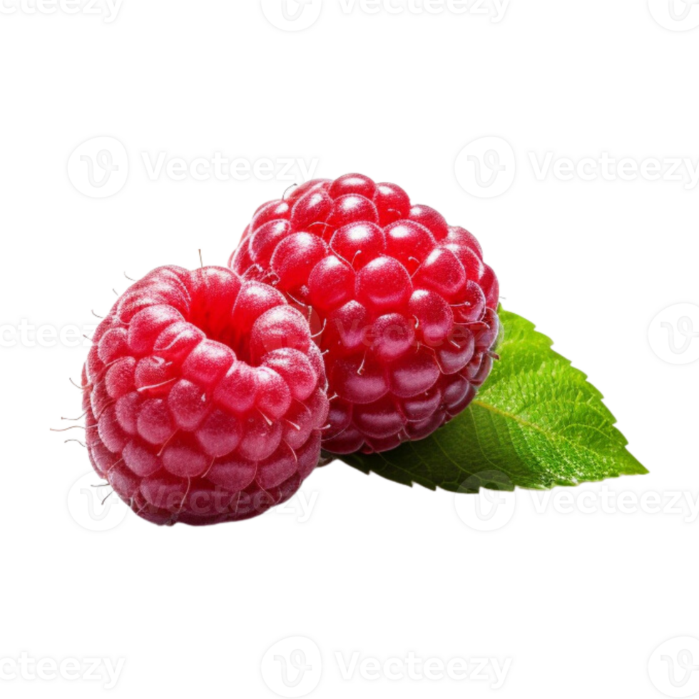 Fresh ripe raspberries with leaves isolated on transparent background. png