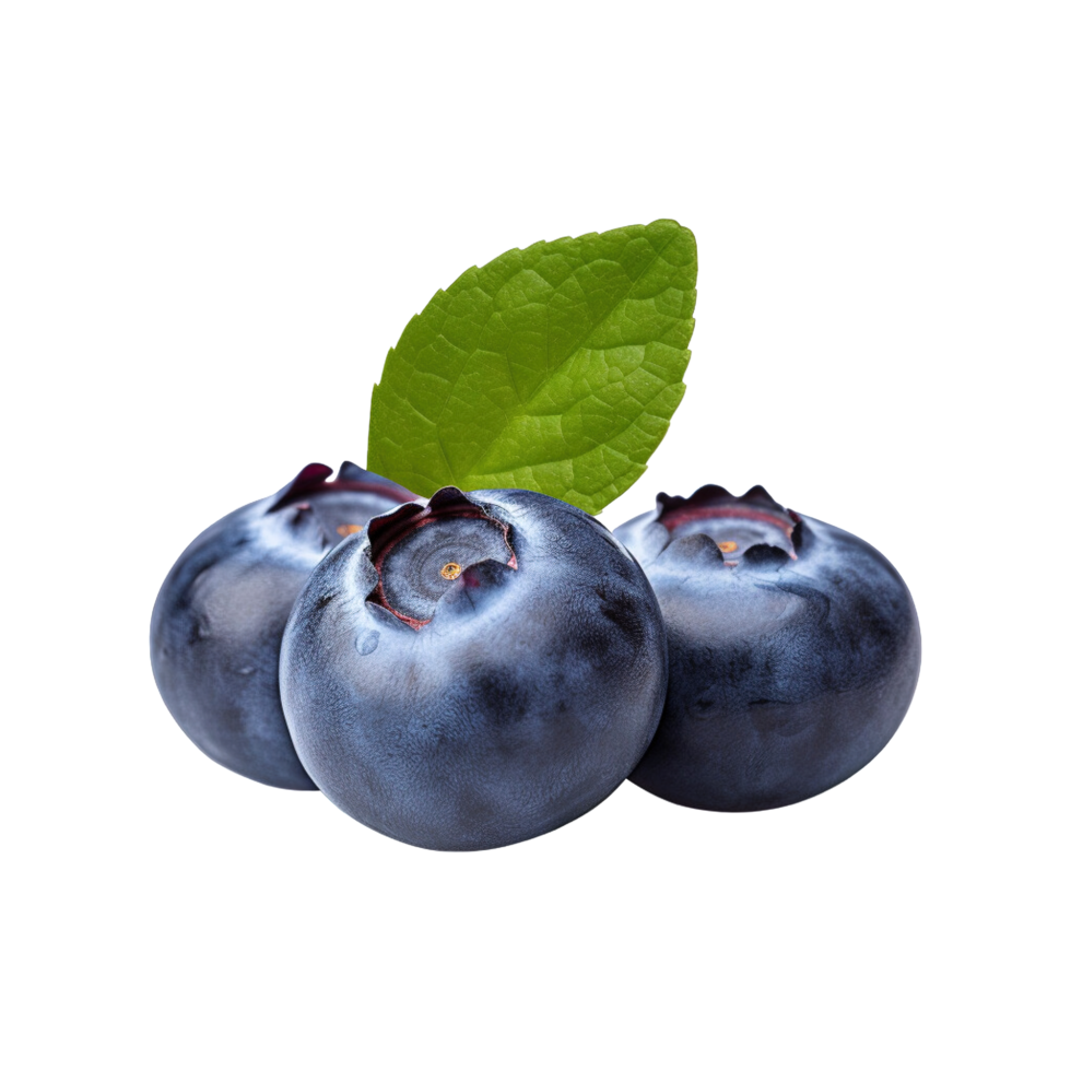 Fresh ripe blueberries isolated on transparent background png