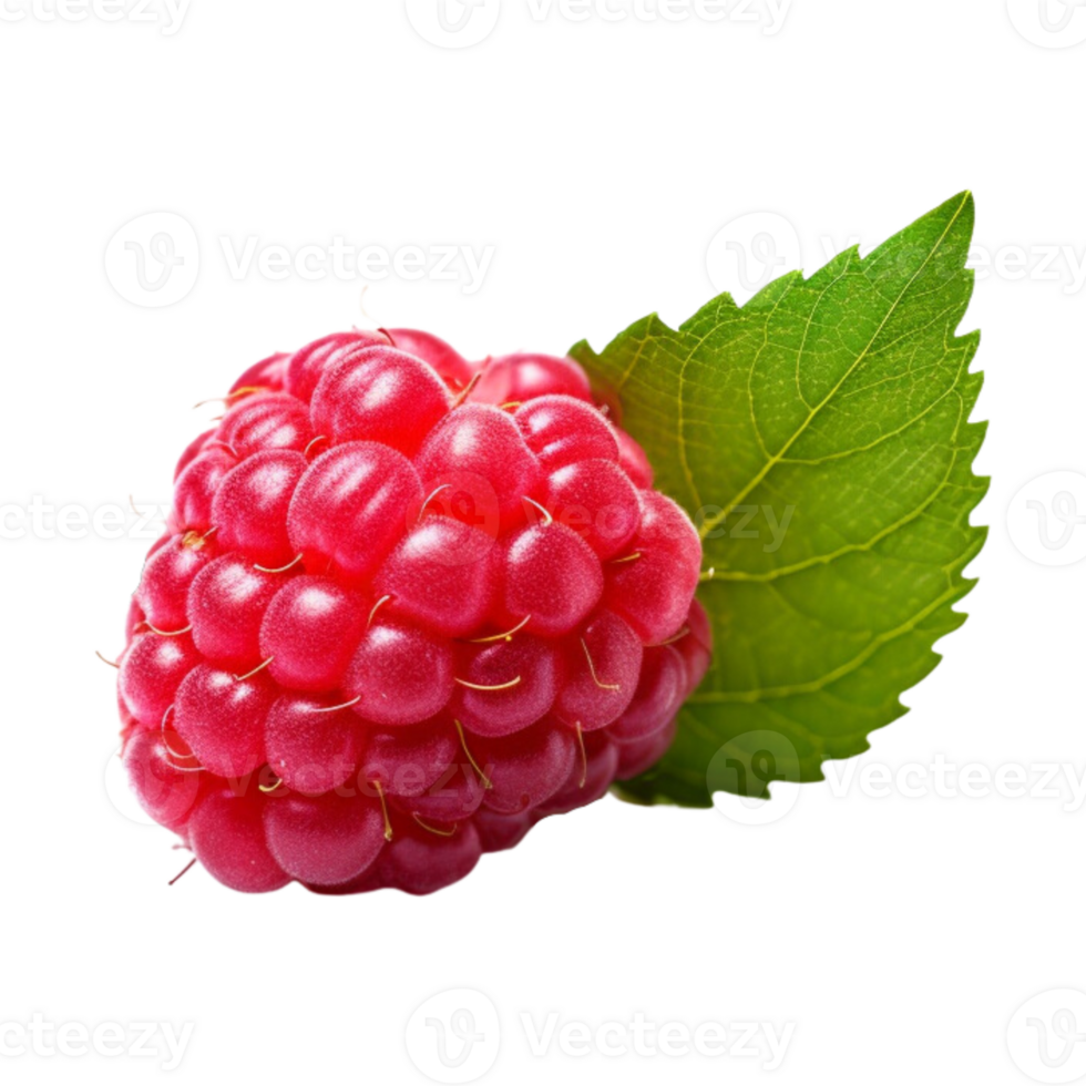 Fresh ripe raspberry with leaves isolated on transparent background. png